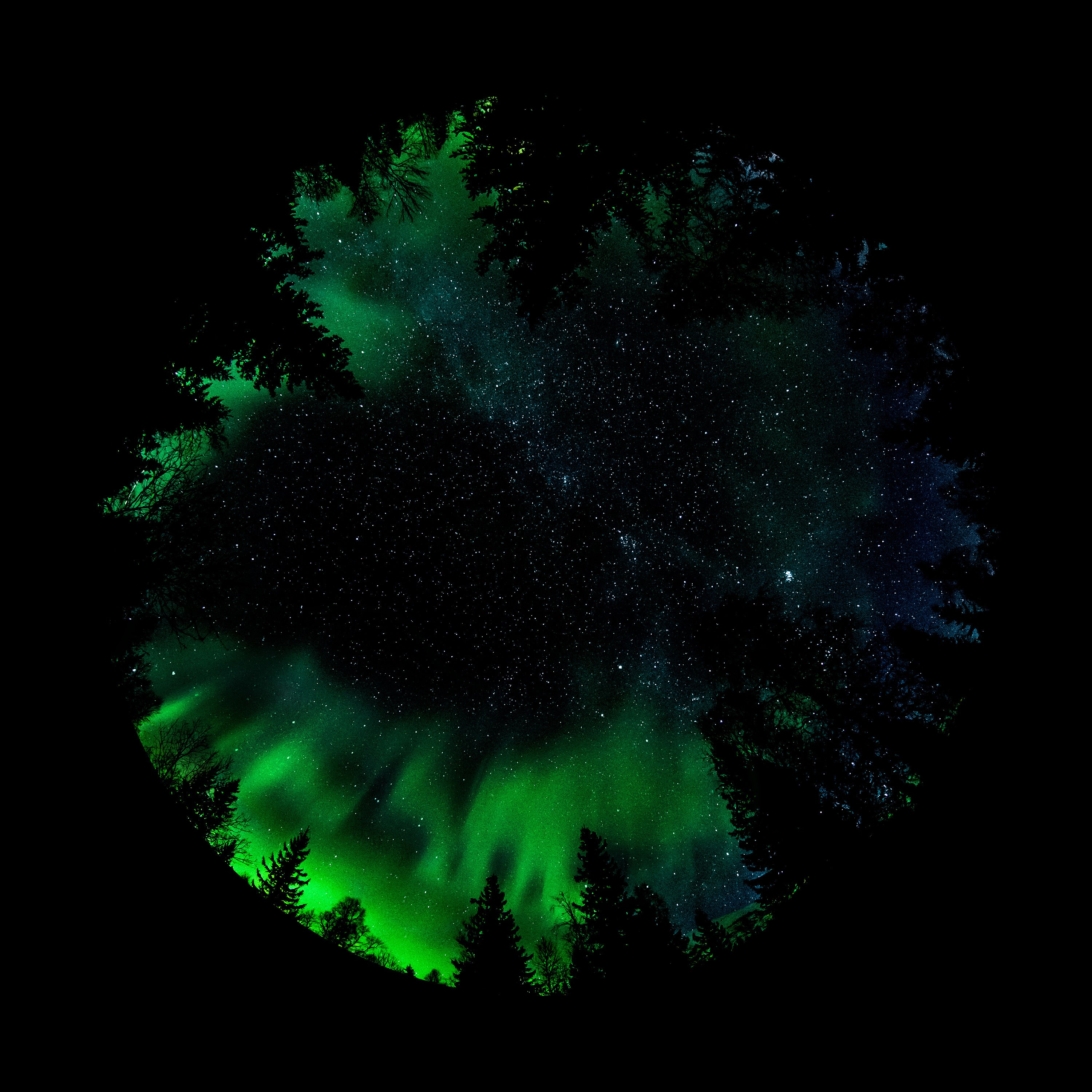 Forest Aurora--Orzorz Star Projector High Precision Slides - Orzorzvip