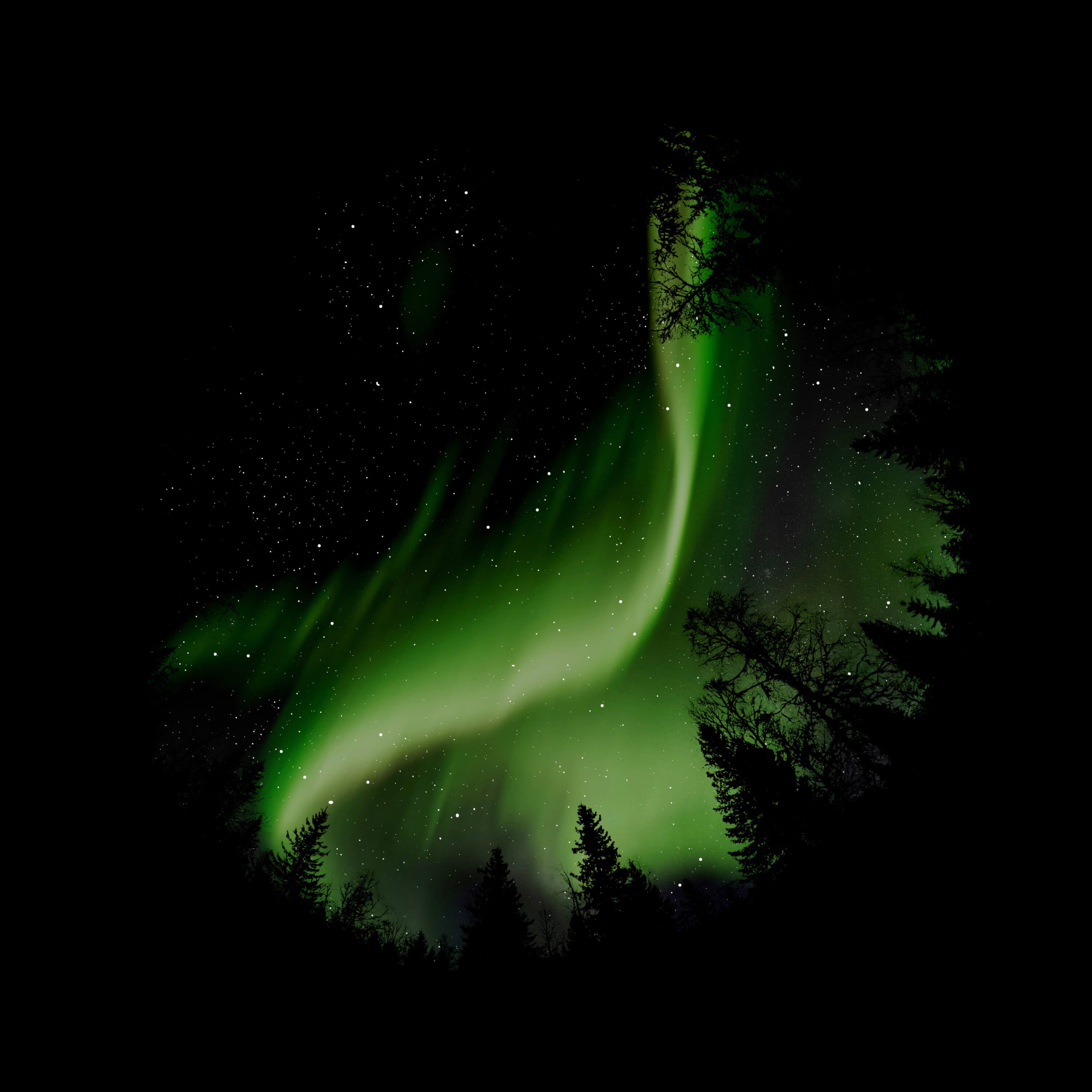 Green Aurora--Orzorz Star Projector High Precision Slides - Orzorzvip